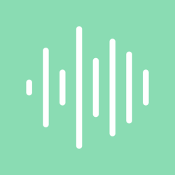 Noisili logo