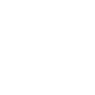 EE business #1 medal icon
